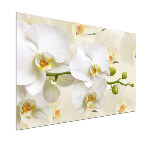 Skleněný panel do kuchynské linky Orchidej