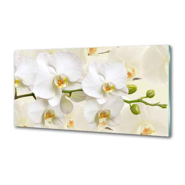 Skleněný panel do kuchynské linky Orchidej