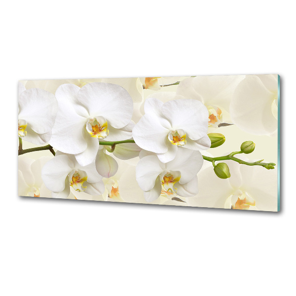 Skleněný panel do kuchynské linky Orchidej