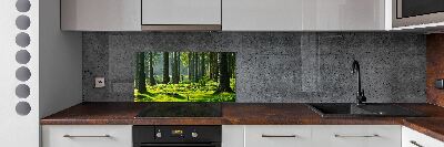 Panel do kuchyně Smrkový les