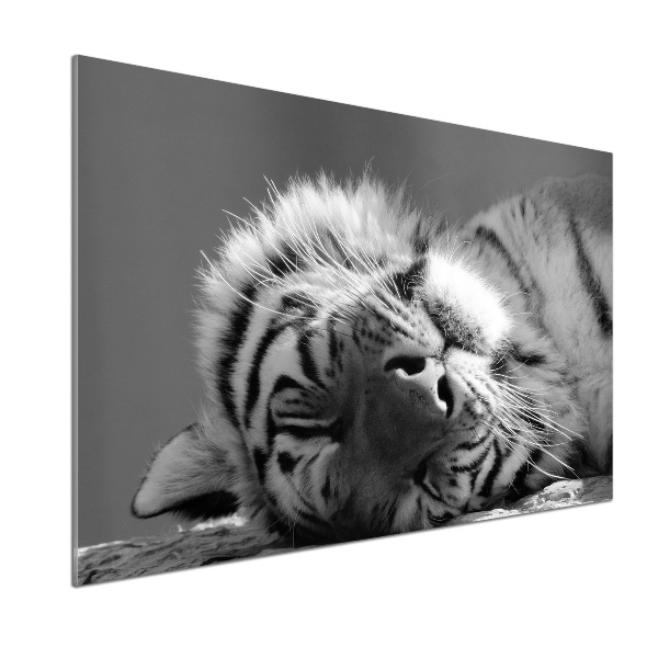 Panel do kuchyně Spící tygr