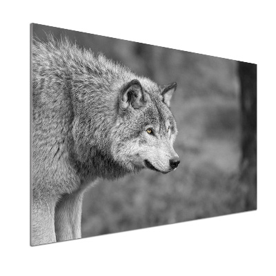 Dekorační panel sklo Šedý vlk