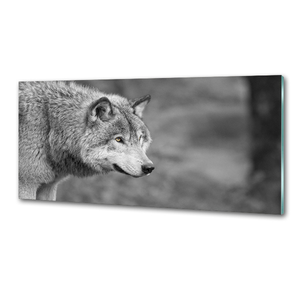 Dekorační panel sklo Šedý vlk