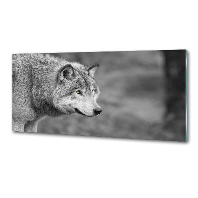 Dekorační panel sklo Šedý vlk