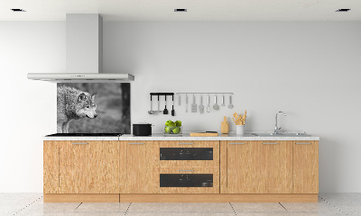 Dekorační panel sklo Šedý vlk