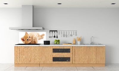 Skleněný panel do kuchynské linky Červená kočka