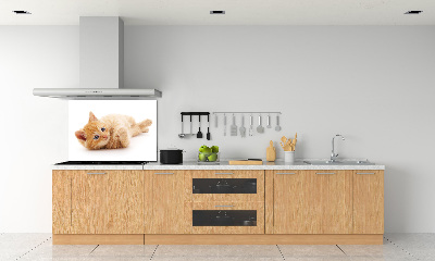Skleněný panel do kuchynské linky Červená kočka