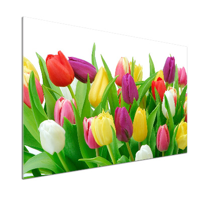 Panel do kuchyně Barevné tulipány