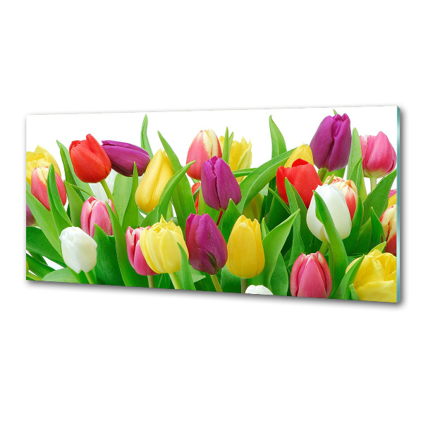 Panel do kuchyně Barevné tulipány