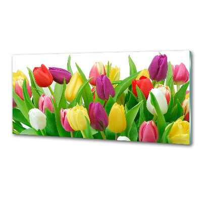 Panel do kuchyně Barevné tulipány