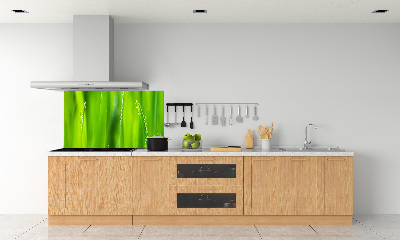 Dekorační panel sklo Mladý oves