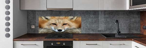Panel tvrzené sklo do kuchyně Liška
