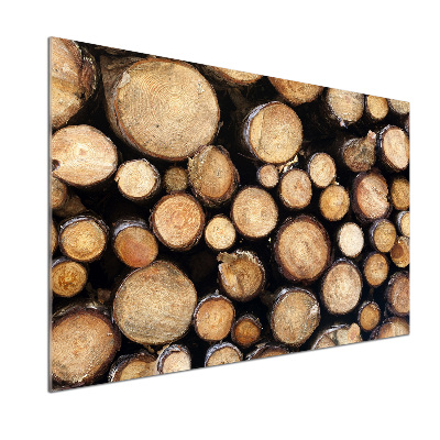 Dekorační panel sklo Klády dříví