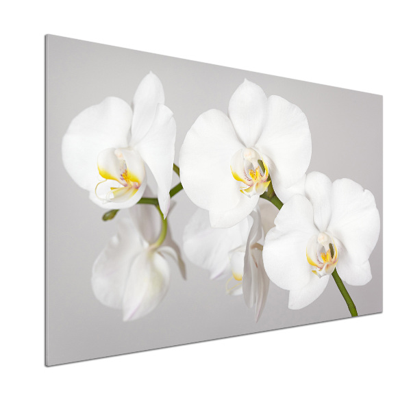Skleněný panel do kuchynské linky Orchidej