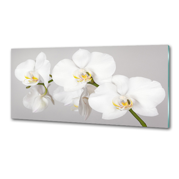 Skleněný panel do kuchynské linky Orchidej