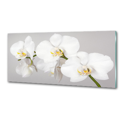 Skleněný panel do kuchynské linky Orchidej