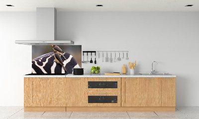 Panel do kuchyně Ptáci a zebra