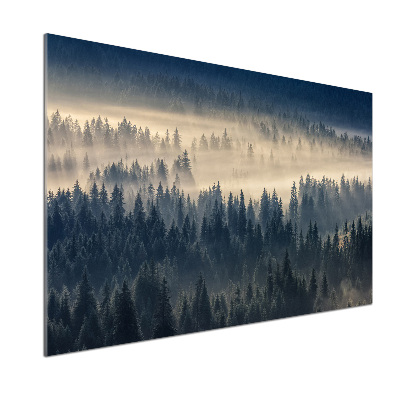 Panel do kuchyně Mlha nad lesem