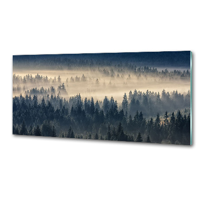 Panel do kuchyně Mlha nad lesem