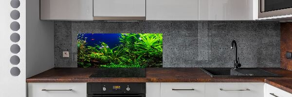 Panel do kuchyně Ryby v akvárium