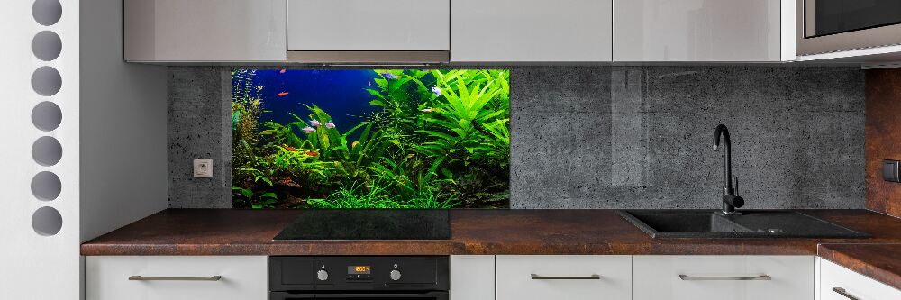 Panel do kuchyně Ryby v akvárium