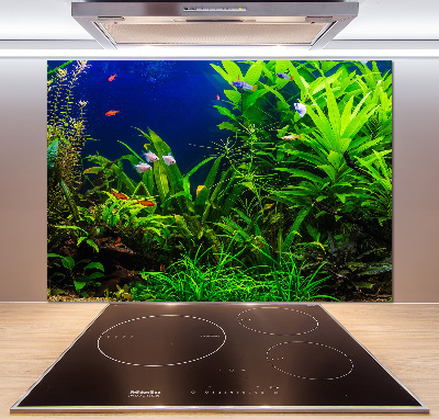 Panel do kuchyně Ryby v akvárium