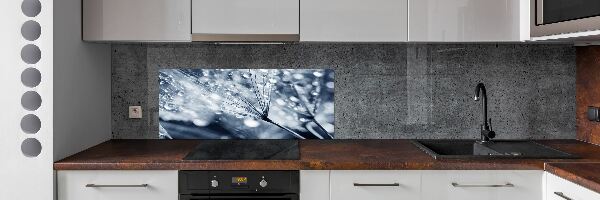 Panel do kuchyně Semeno pampelišky