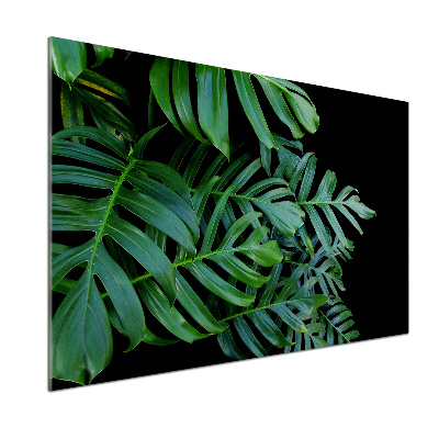 Skleněný panel do kuchynské linky Monstera