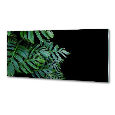 Skleněný panel do kuchynské linky Monstera