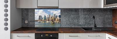 Panel lacobel Manhattan New York