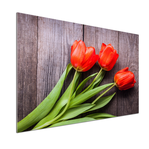 Panel do kuchyně Červené tulipány