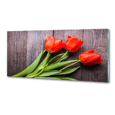 Panel do kuchyně Červené tulipány