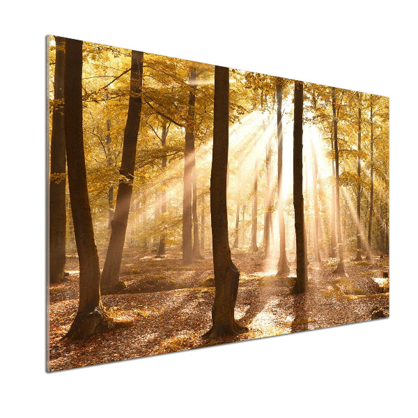 Dekorační panel sklo Podzimní les