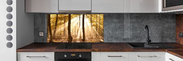 Dekorační panel sklo Podzimní les