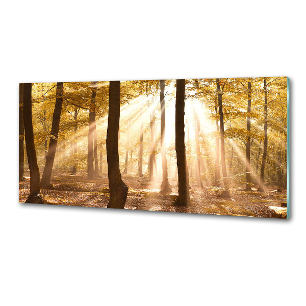 Dekorační panel sklo Podzimní les