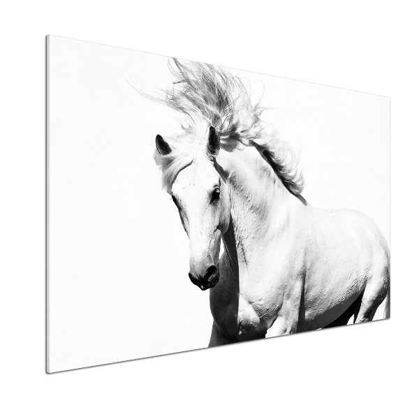 Skleněný panel do kuchynské linky Bílý kůň