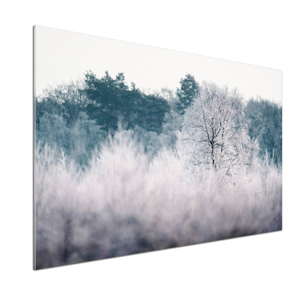 Dekorační panel sklo Stromy zimou