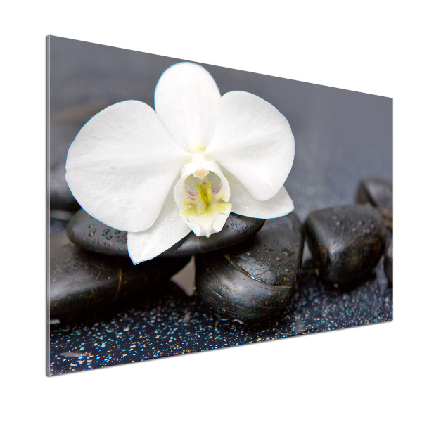 Skleněný panel do kuchynské linky Orchidej