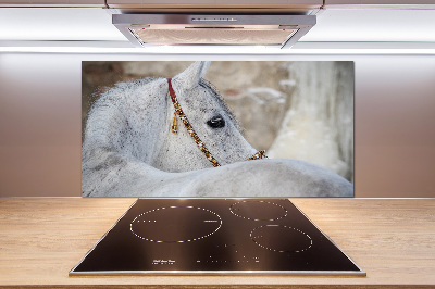 Panel do kuchyně Bílý arabský kůň