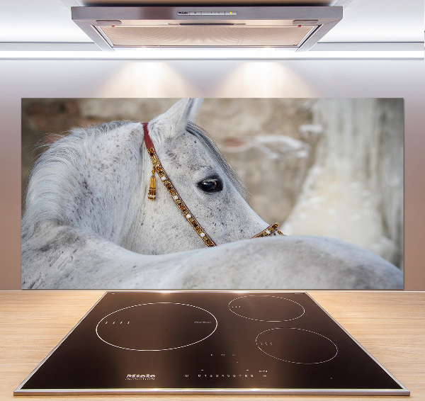 Panel do kuchyně Bílý arabský kůň