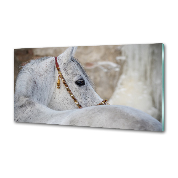 Panel do kuchyně Bílý arabský kůň