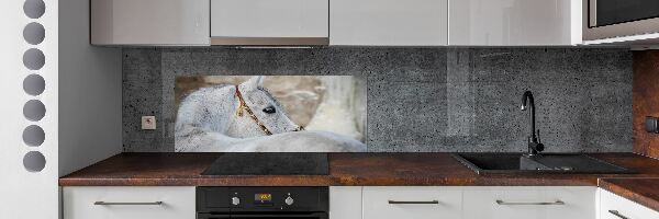Panel do kuchyně Bílý arabský kůň
