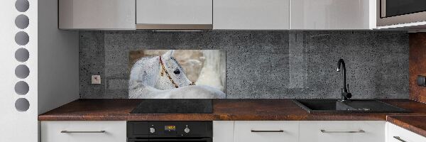 Panel do kuchyně Bílý arabský kůň