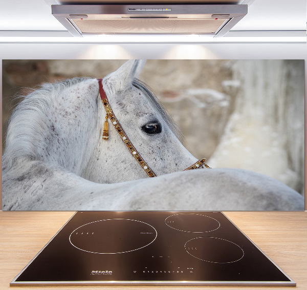 Panel do kuchyně Bílý arabský kůň
