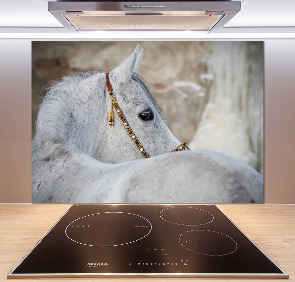 Panel do kuchyně Bílý arabský kůň