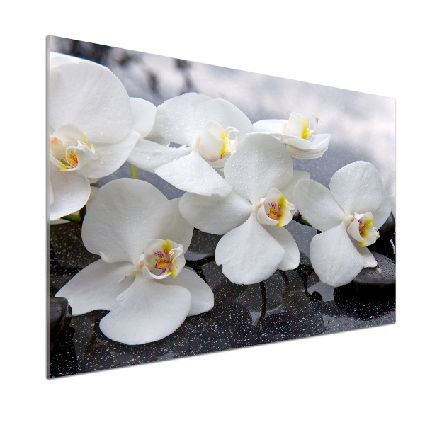 Skleněný panel do kuchynské linky Orchidej