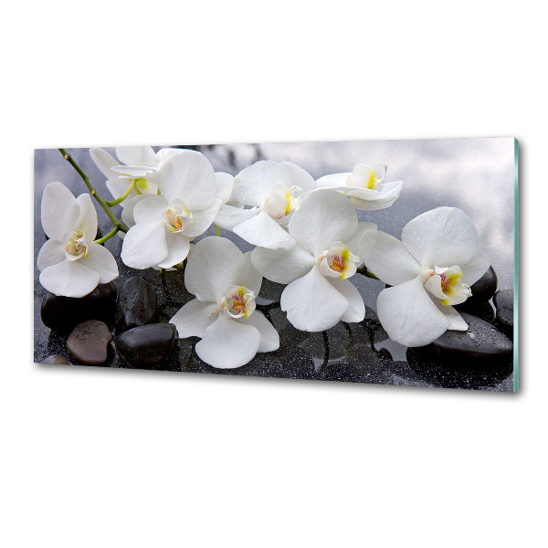 Skleněný panel do kuchynské linky Orchidej