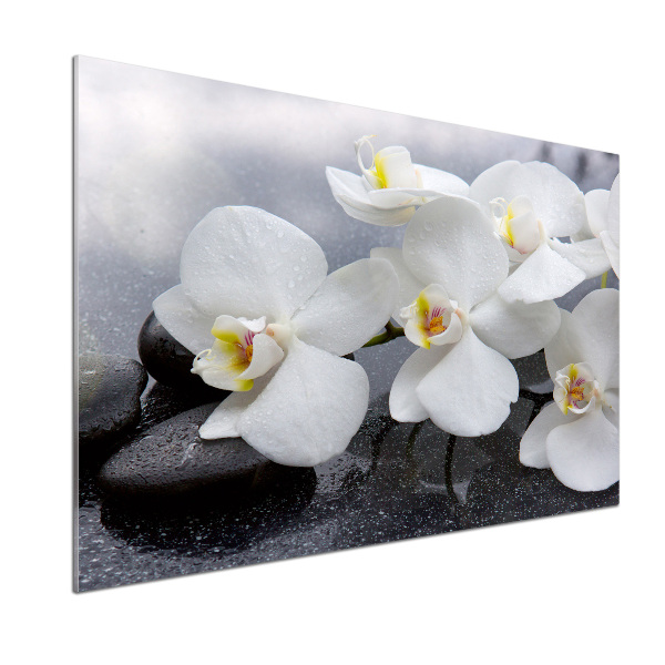 Skleněný panel do kuchynské linky Orchidej