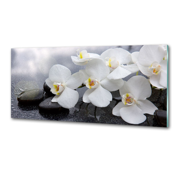 Skleněný panel do kuchynské linky Orchidej