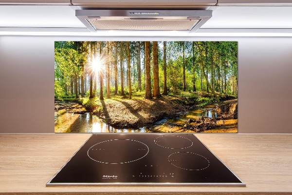 Dekorační panel sklo Panorama les